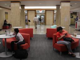 Student Studying in Love Library