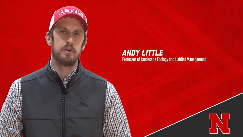 Andy Little