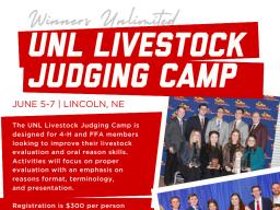 UNL Livestock Judging Camp