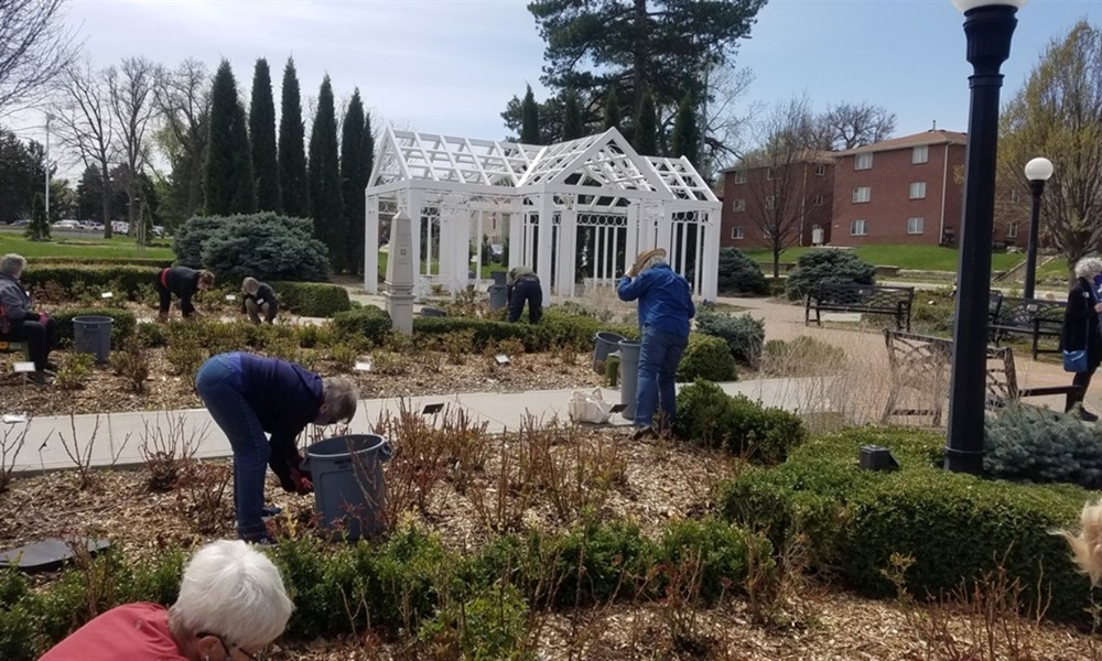 Engage Lincoln: Lincoln Parks and Recreation Rose Garden
