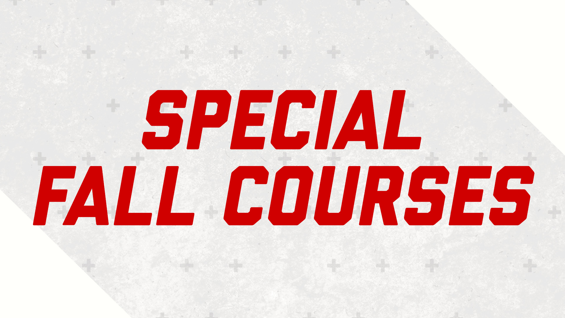Special Fall Courses