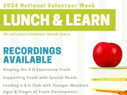 Volunteer Lunch and Learn Session Recordings Online