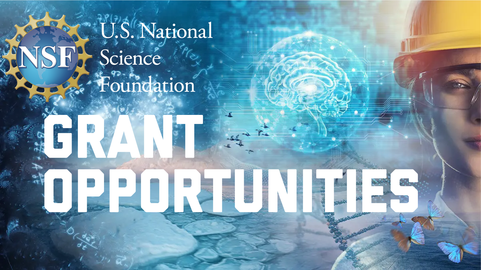 NSF Grant Opportunities
