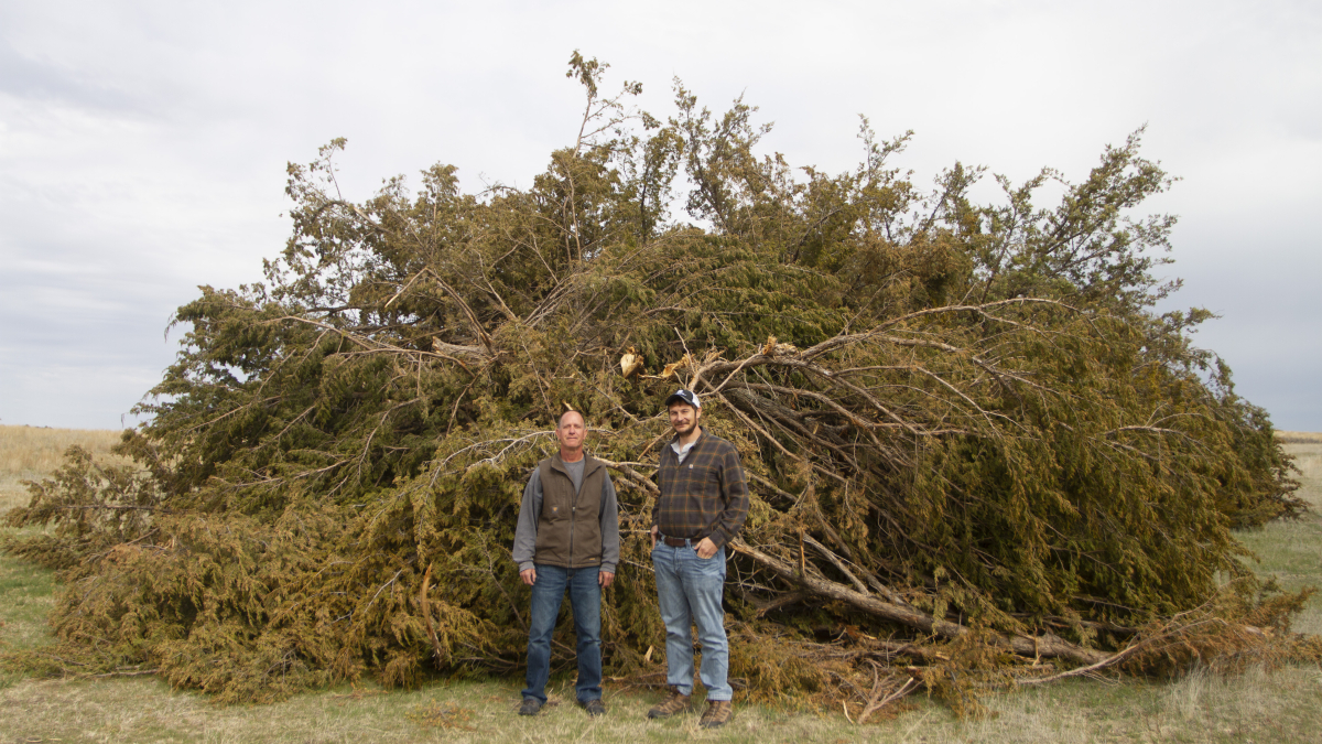 Kyle Martens (on right) has overseen a project helping 11 landowners near the university’s Barta Brothers Ranch clear eastern redcedars from their land this past year.