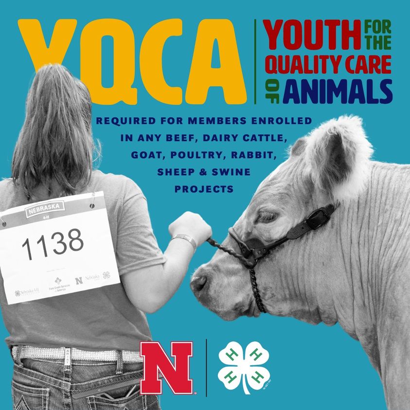 Youth for the Quality Care of Animals (YQCA) In-Person Training May 23 & June 6; Or Complete Online by June 15