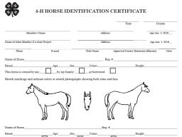 Horse ID form DO NOT USE THIS IMAGE FILE TO TURN IN YOUR FORM