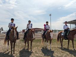 4-H State Horse Expo Show, Hippology and Judging Entries Due June 1