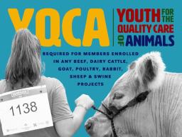 Youth for the Quality Care of Animals (YQCA) In-Person Training May 23 & June 6; Or Complete Online by June 15