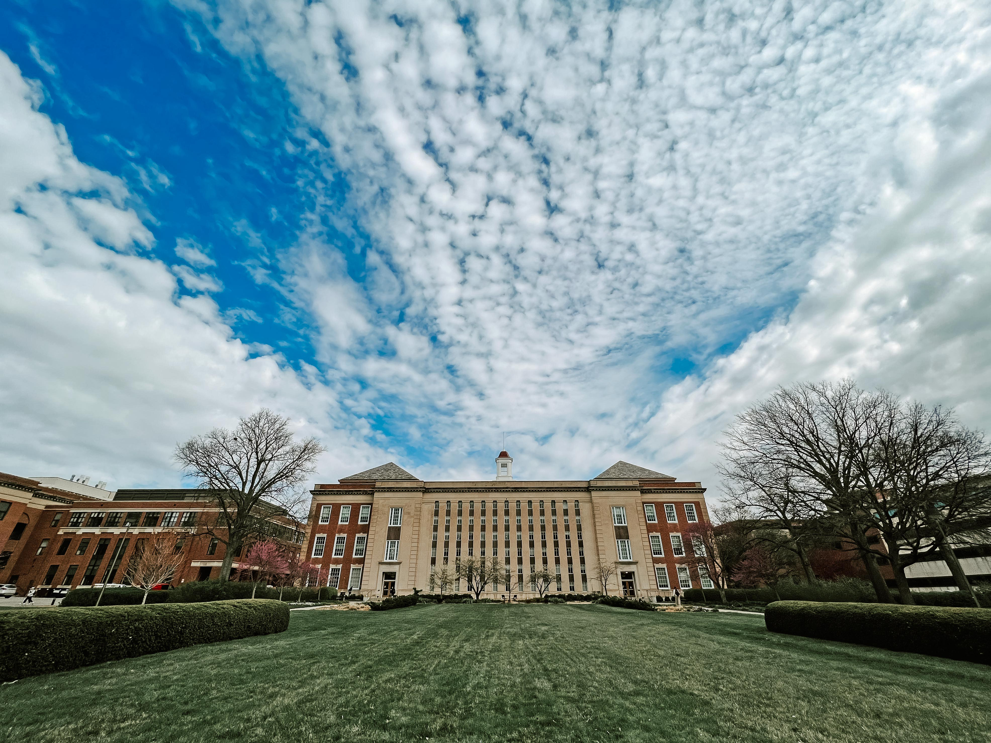 Eleven School of Computing will be recognized as Chancellor’s Scholars during the undergraduate commencement ceremony May 18. 