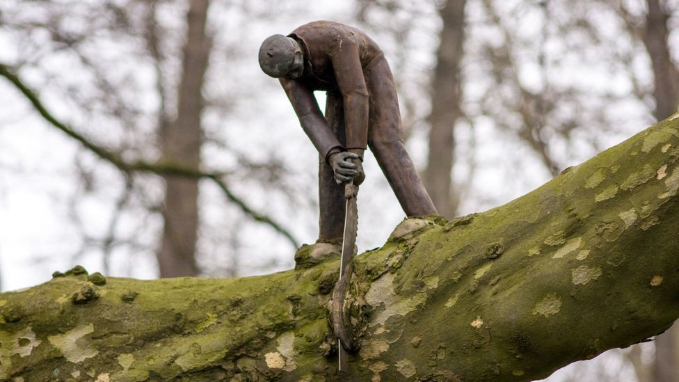 Person sawing off branch supporting them