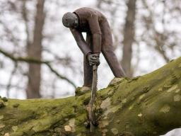 Person sawing off branch supporting them