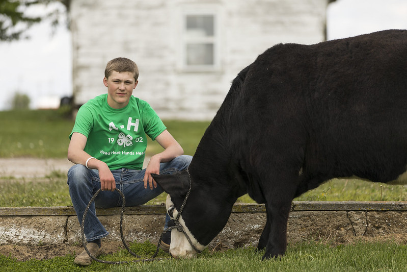 Livestock Booster Scholarship Applications Due July 6