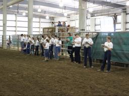 Horse Judging Contest on June 1 Open to All 4-H’ers