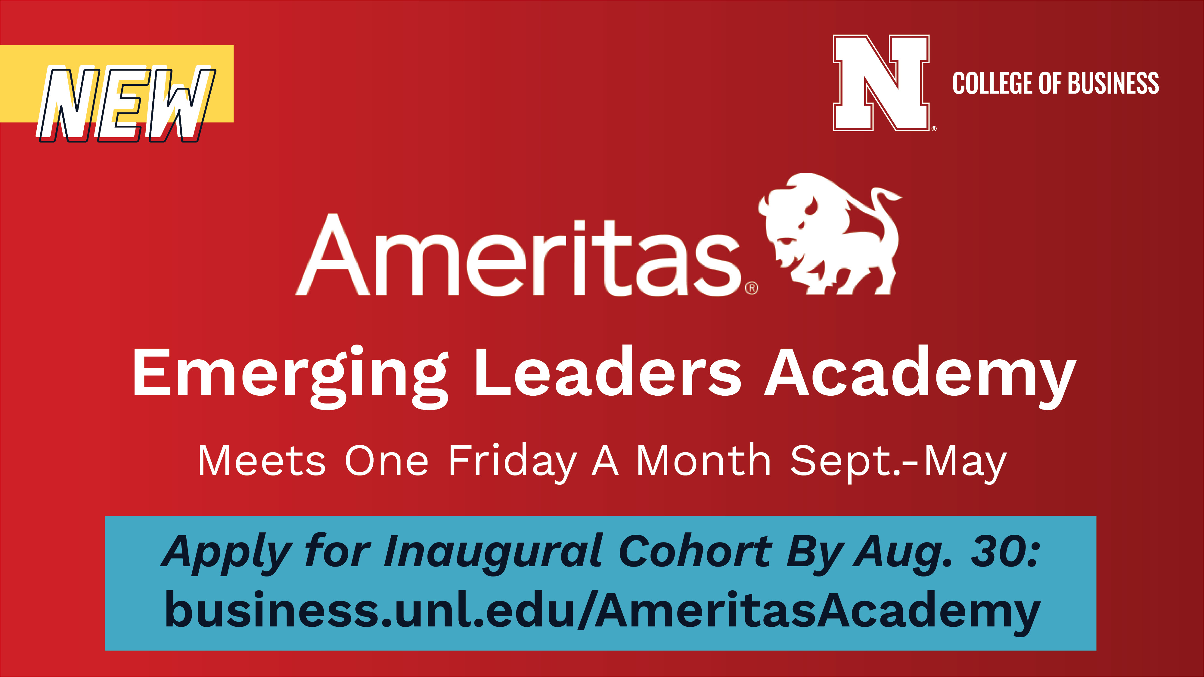 Join the Inaugural Cohort of the Ameritas Emerging Leaders Academy
