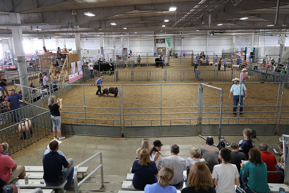 4-H/FFA Purple Ribbon Market Livestock Premium Auction at the 2023 Lancaster County Super Fair