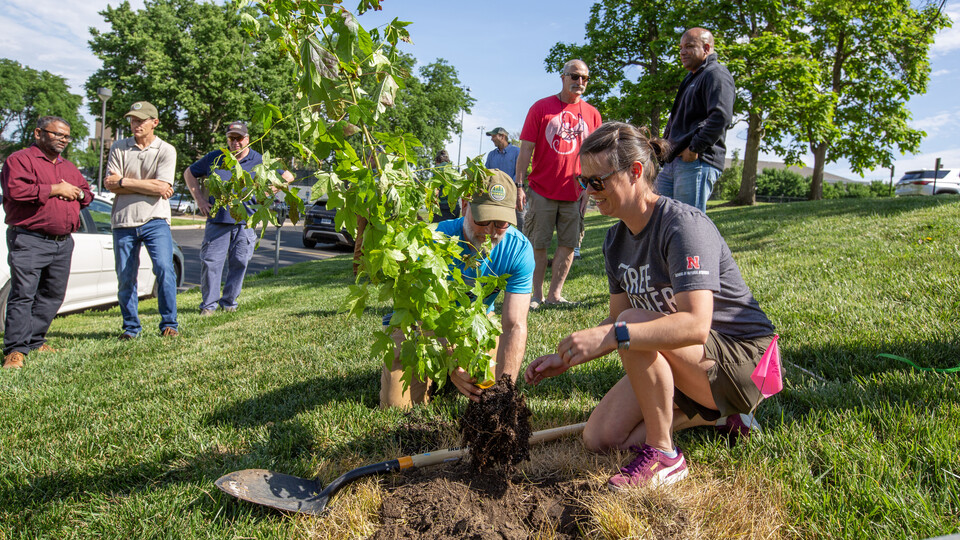 Aaron Clare, a conservation forester with the Nebraska Forest Service, and Ann Powers, a lecturer in the School of Natural Resources, plant the sweetgum "Moon Tree" on East Campus on June 4. (Image credit: Troy Fedderson | UCOMM)