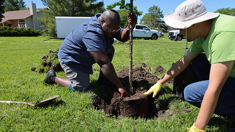 As president of the East Lincoln Rotary Club, Nebraska doctoral student Andrew Mwape uses trees to combat climate change and give back to his community. Images by Alexandra Coffelt. 