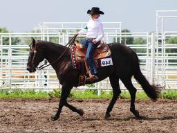 State 4-H Horse Show July 13-17