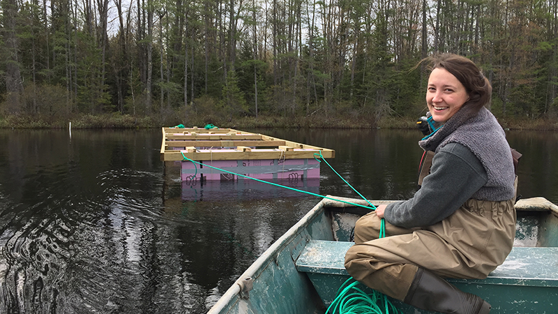 Carly Olson pulls frames to the middle of a lake to study zooplankton in an experiment.