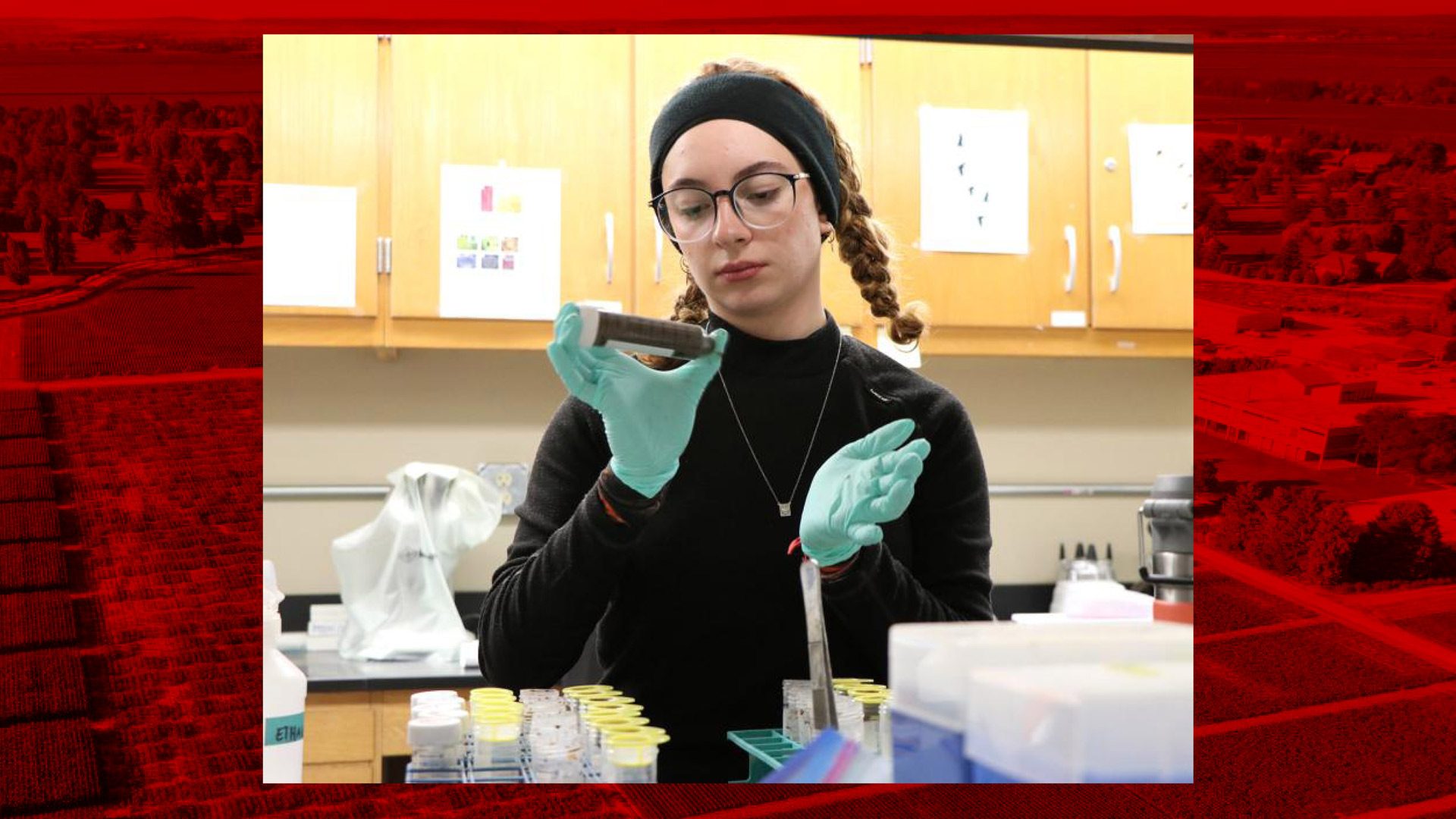 Maria Fernanda Sanches, an intern at the High Plains Ag Lab, prepares a root sample at the Panhandle Research Extension and Education Center’s lab in Scottsbluff. Photo Chabella Guzman