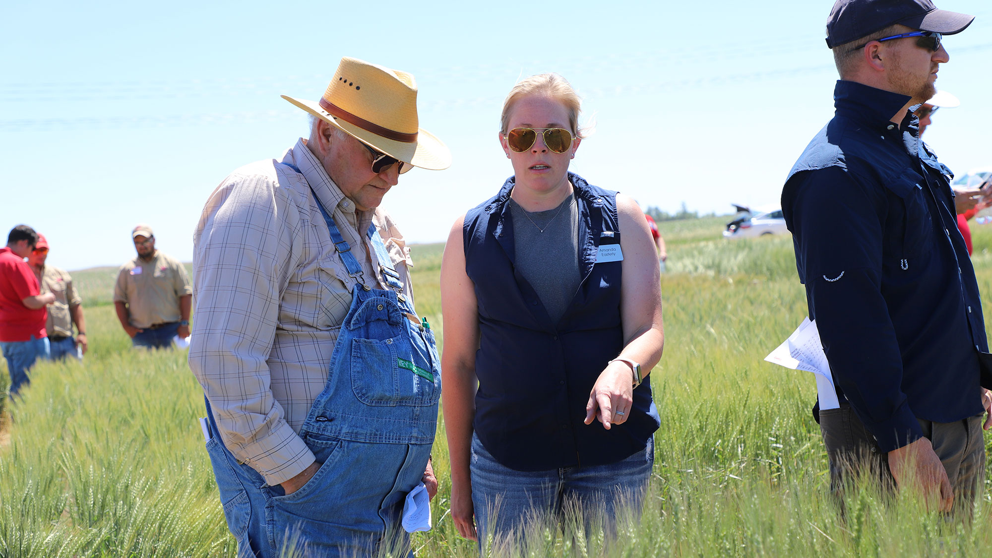 Marvin Stumpf (left) and Amanda Easterly, research assistant professor in agronomy and horticulture, discuss wheat varieties during the 2024 Nebraska Wheat Variety Tour at the Stumpf Farm, in Perkins County.