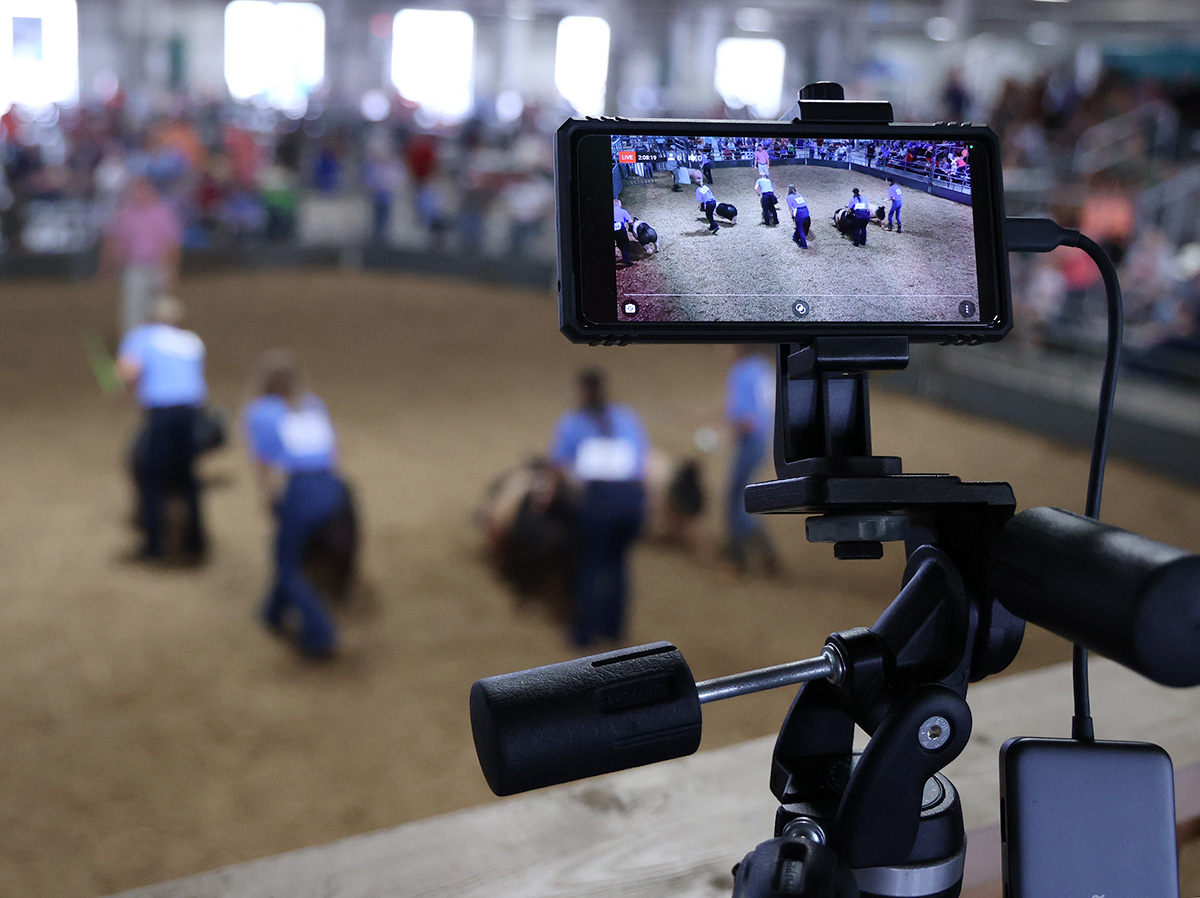 Livestream at the Swine Show during the 2023 Lancaster County Super Fair.