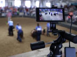 Livestream at the Swine Show during the 2023 Lancaster County Super Fair.