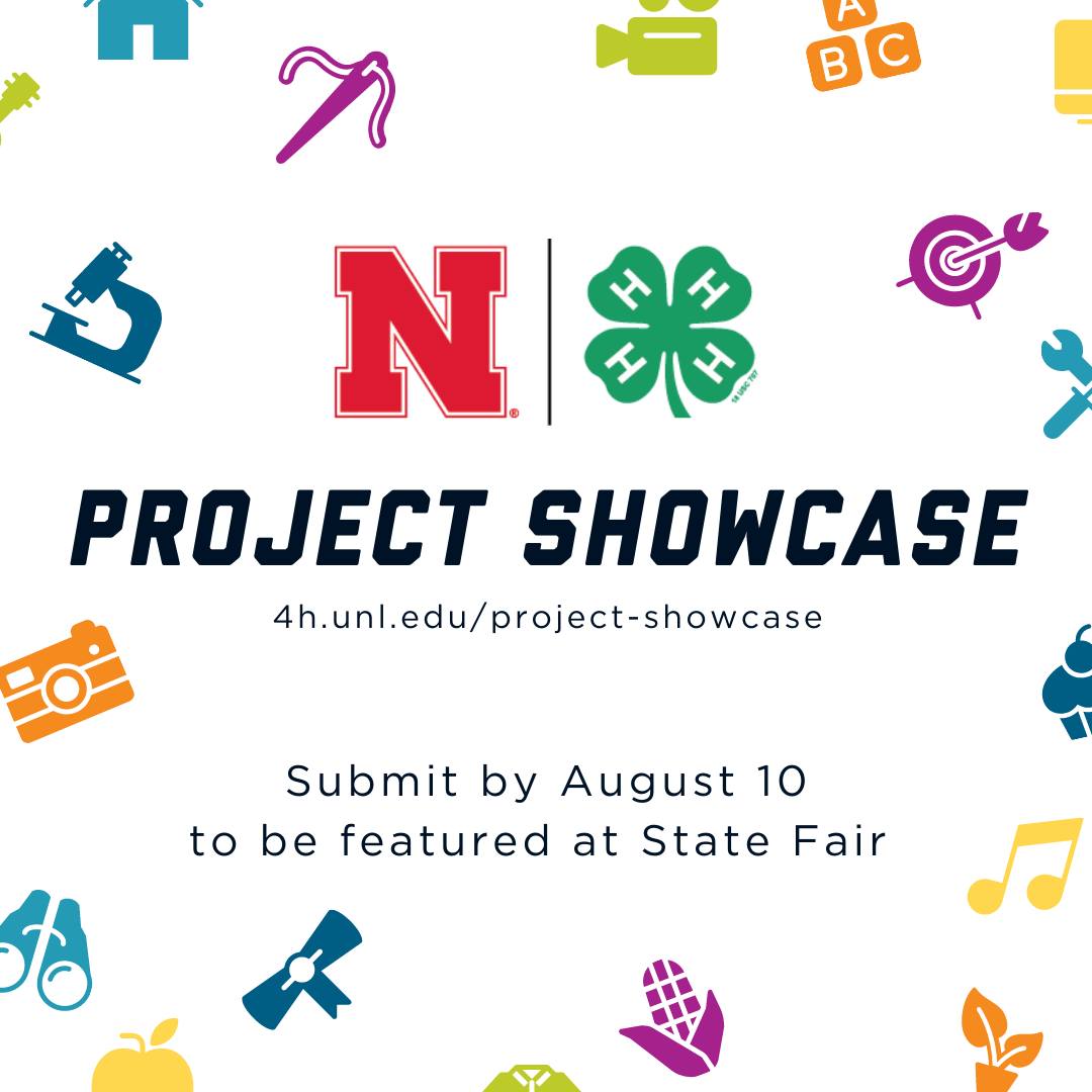 Project Showcase