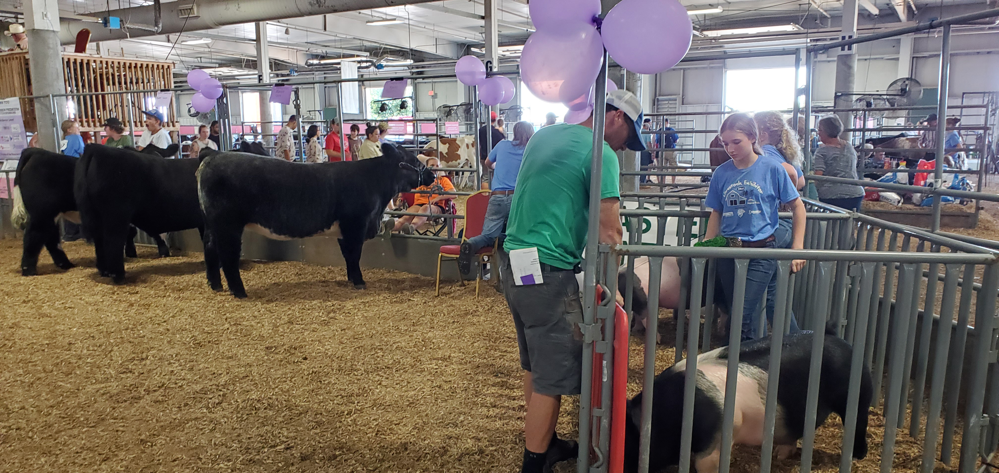 The 2023 Lancaster County Super Fair held the first "Purple Row" featuring the top 4-H/FFA market livestock.