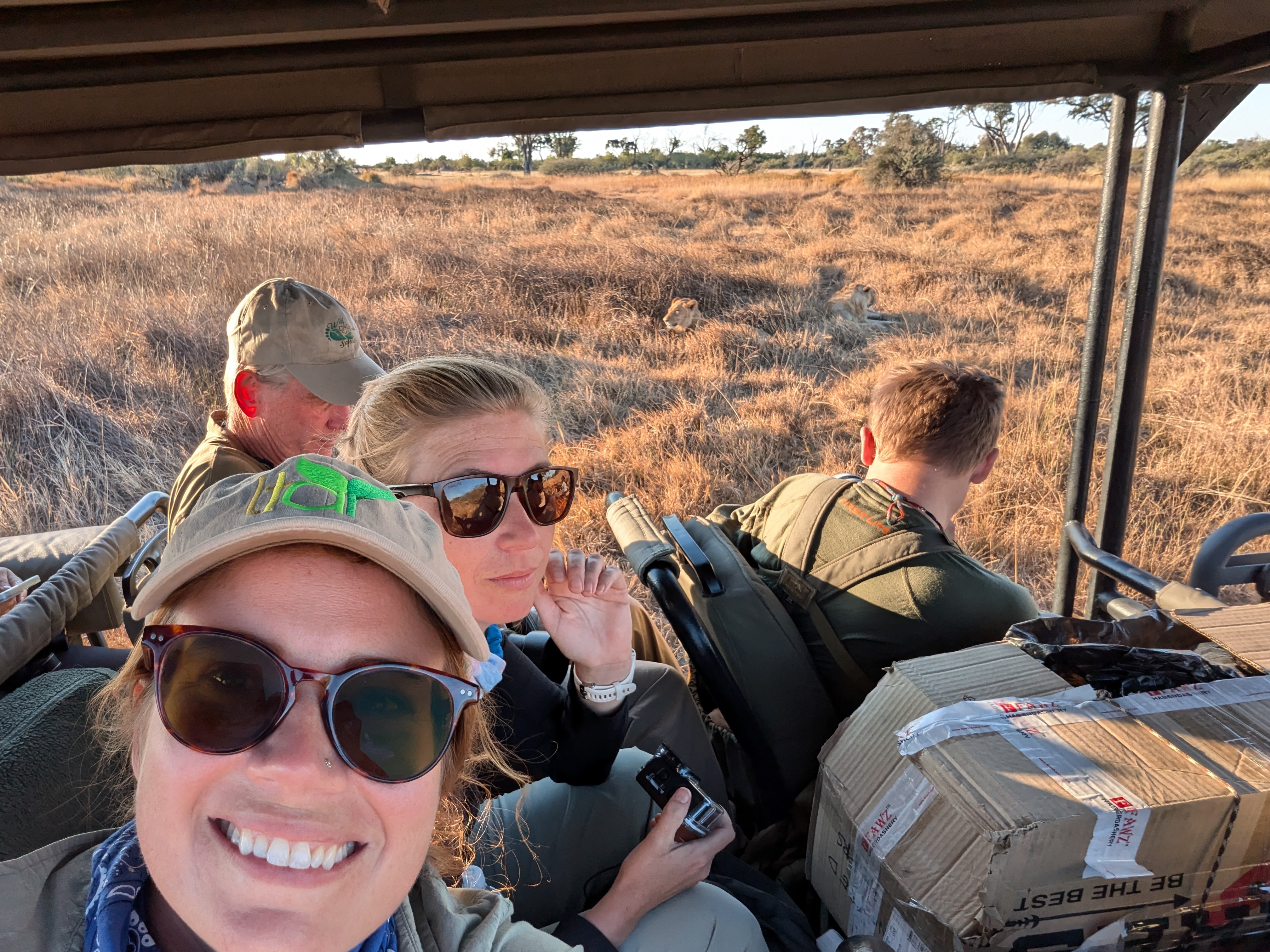 Gwendŵr Meredith (in lower left) shows study abroad trips offer experiences that Nebraska classrooms can’t, like selfies with lions. With her and the two lions sunning in the savanna are, from left, John Carroll, Becca Wyatt and Caden Connelly.