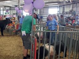 The 2023 Lancaster County Super Fair held the first "Purple Row" featuring the top 4-H/FFA market livestock.