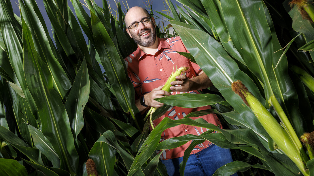 A team led by Nebraska's James Schnable has received federal funding to expand the development of an innovative method to predict the performance of corn hybrids. The work is an important step toward commercializing new crop varieties.