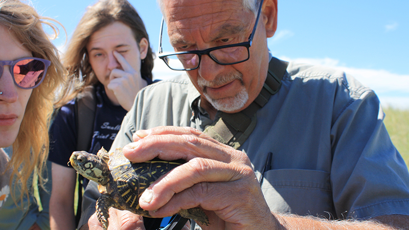 Dennis Ferraro offers hands-on learning about reptiles and amphibians in his Field Herpetology class at Cedar Point Biological Station in western Nebraska every summer. Photo courtesy of Megann Timm.