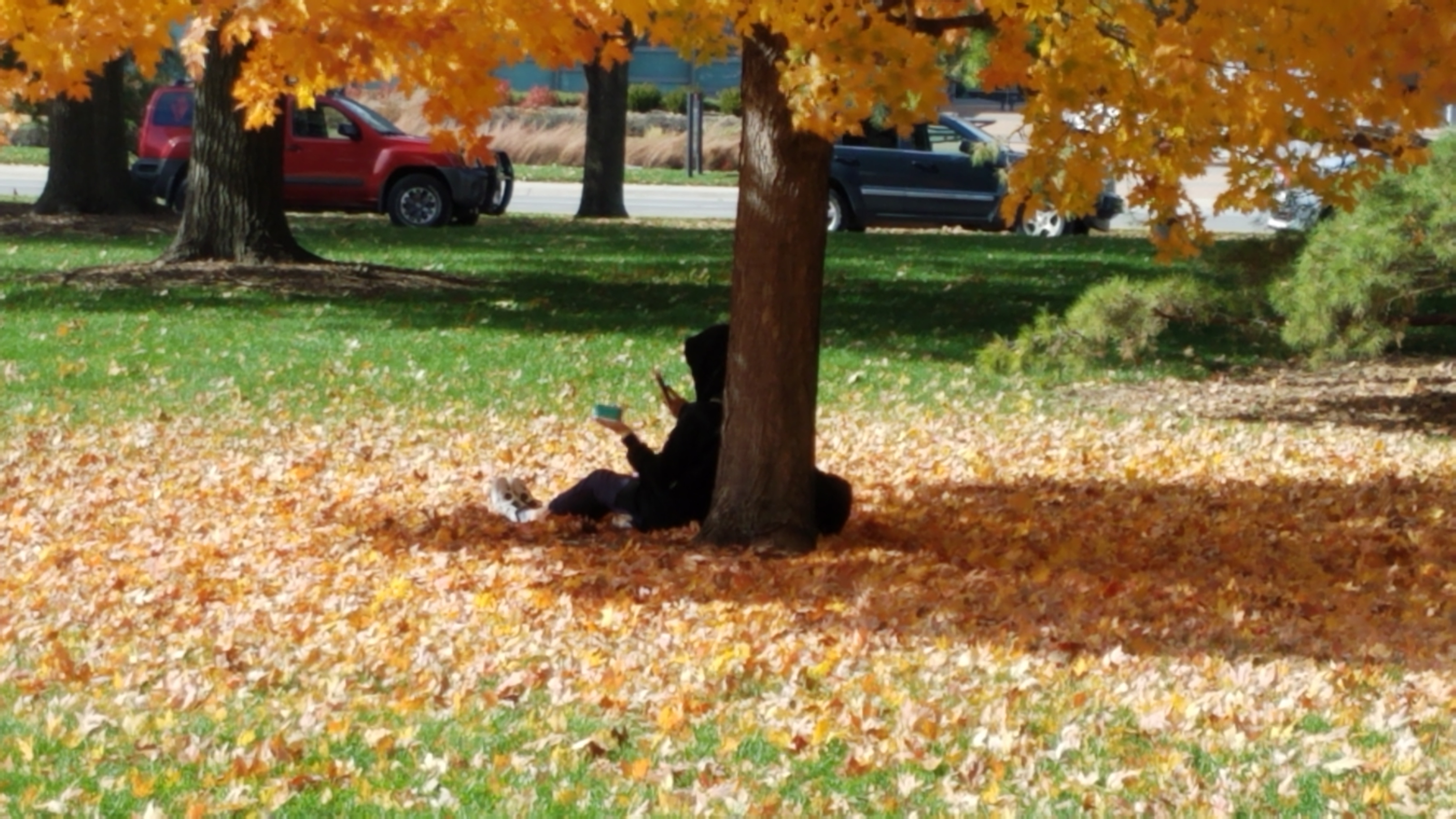 Fall at Hardin Hall