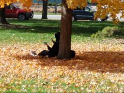 Fall at Hardin Hall