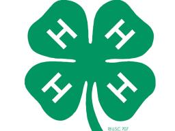 4-H Logo