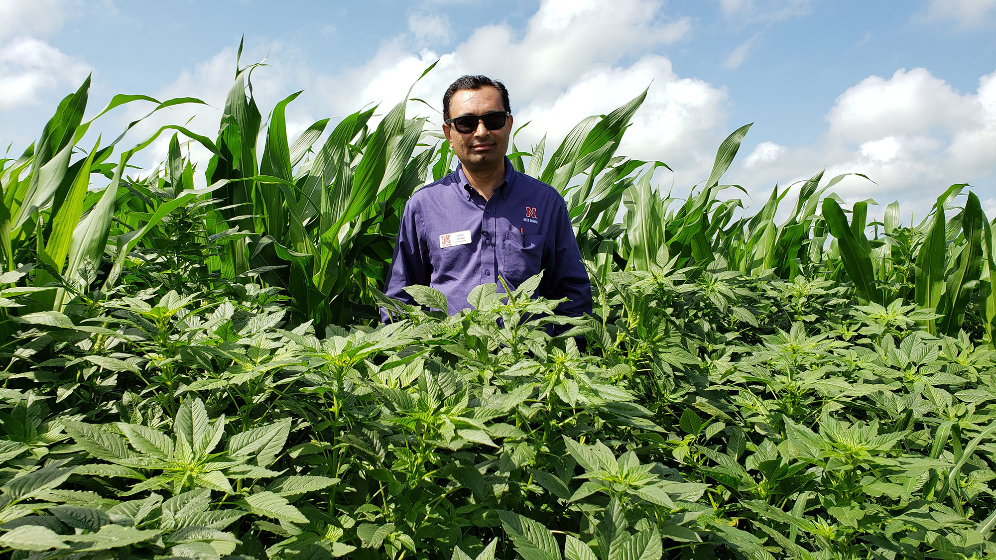 Amit Jhala, Professor and Nebraska Extension Weed Management Specialist