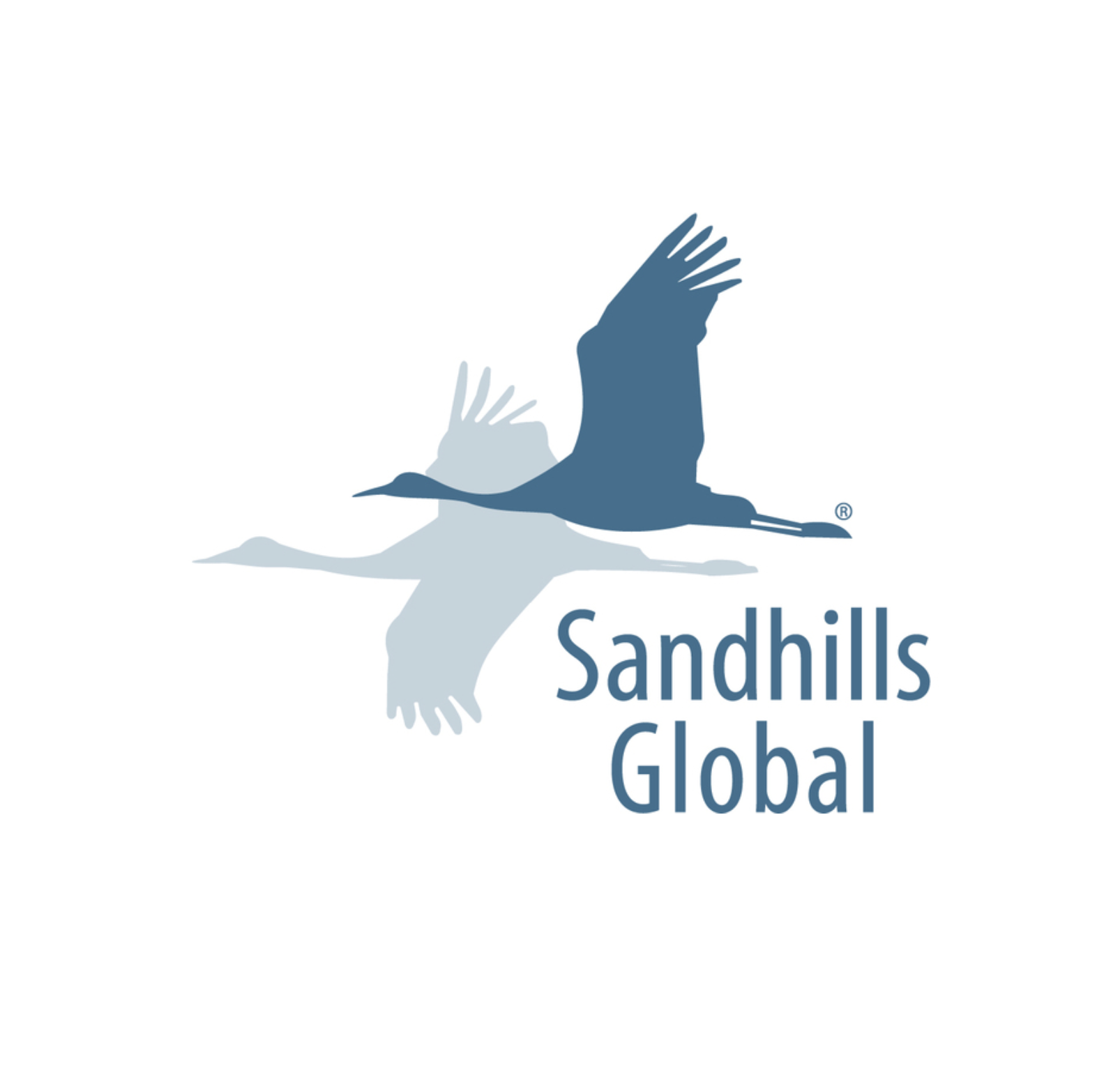 Sandhills Global