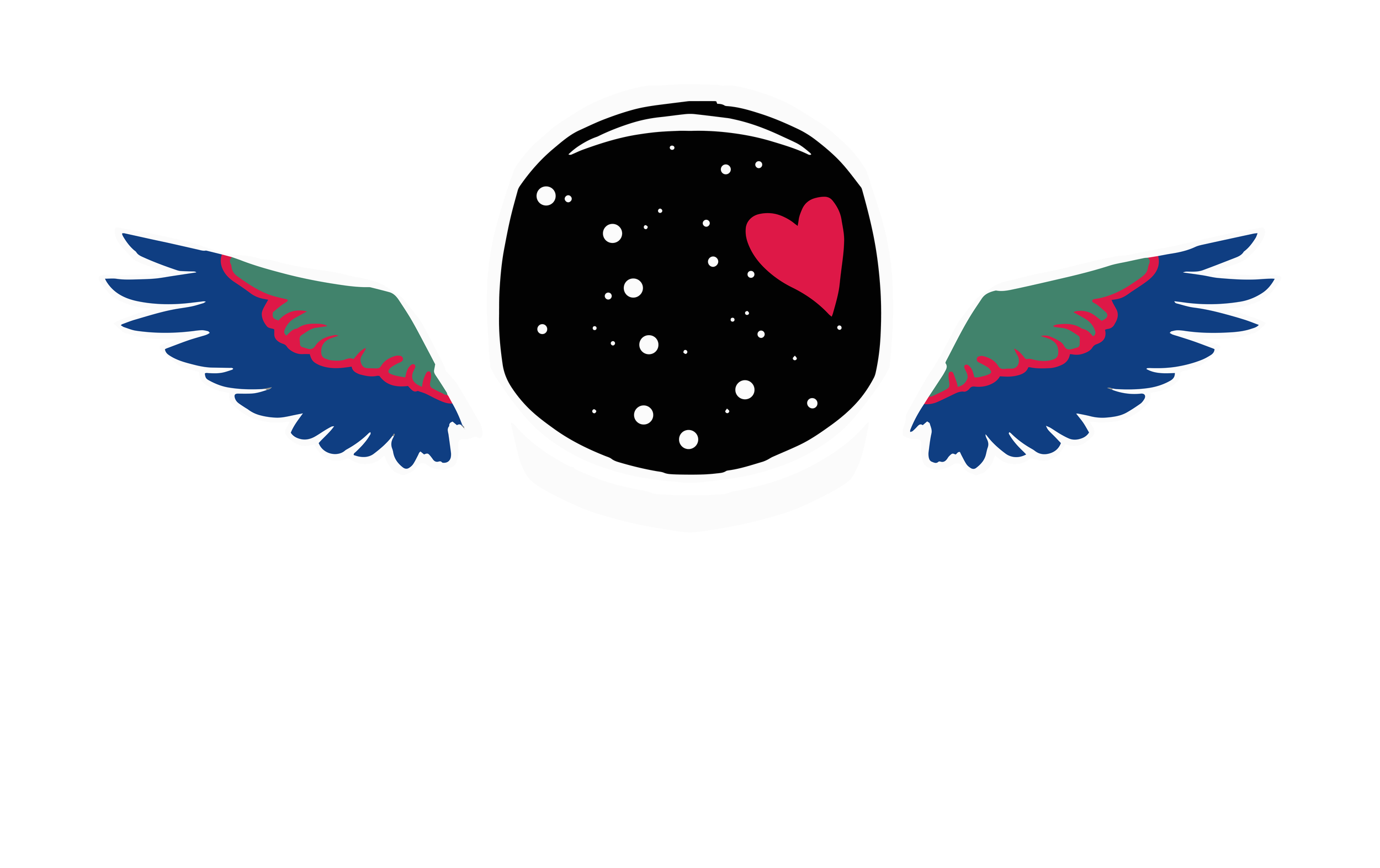 Brooke Owens Fellowship