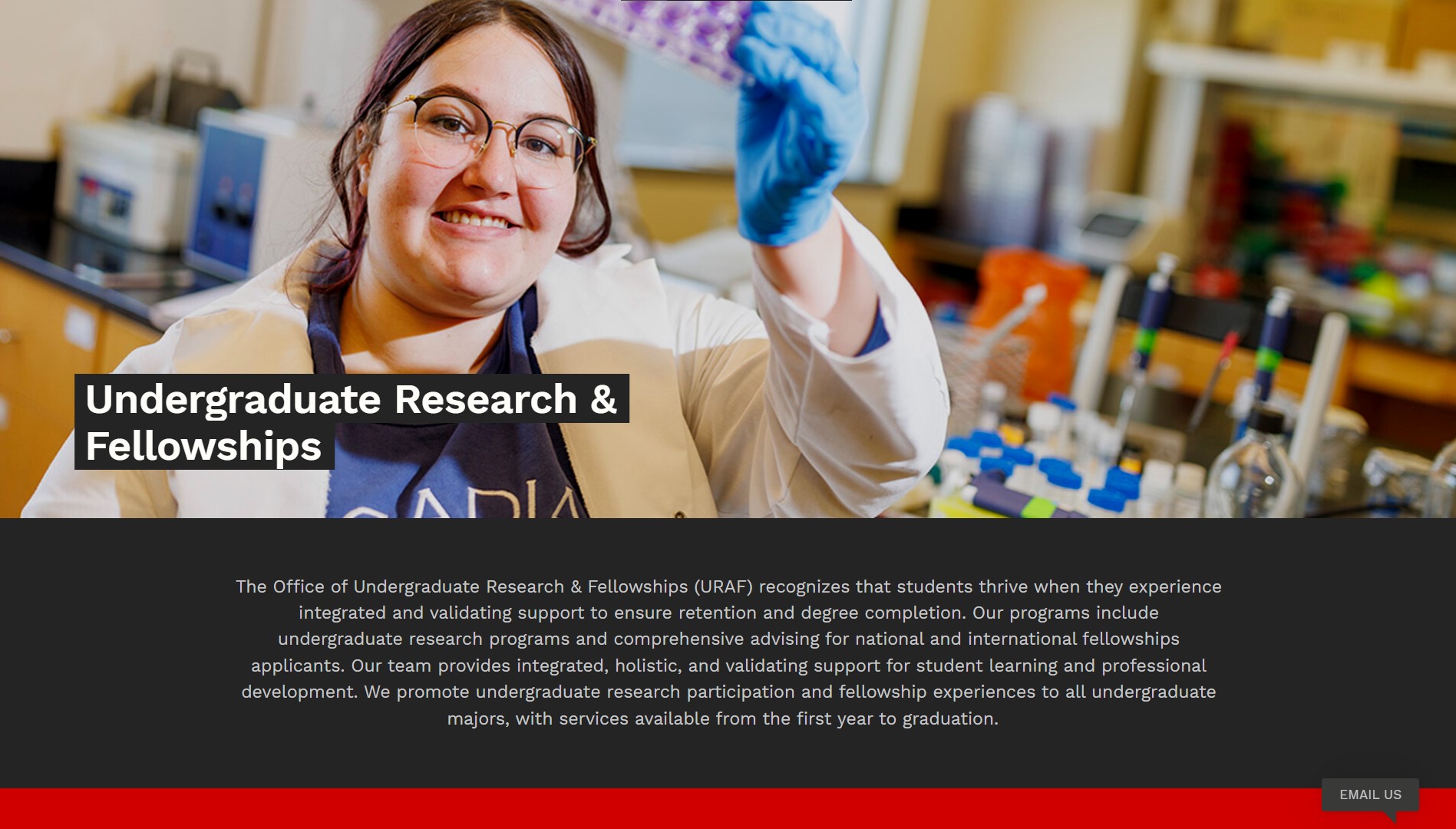 Updates from Undergraduate Research & Fellowships