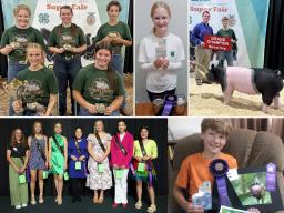 (Top L–R) Livestock Elite Showmanship winners, Top Food Preservation and Market Swine Grand Champion. (Bottom L–R) Fashion Show Top 7 winners, Top Photography Level 1