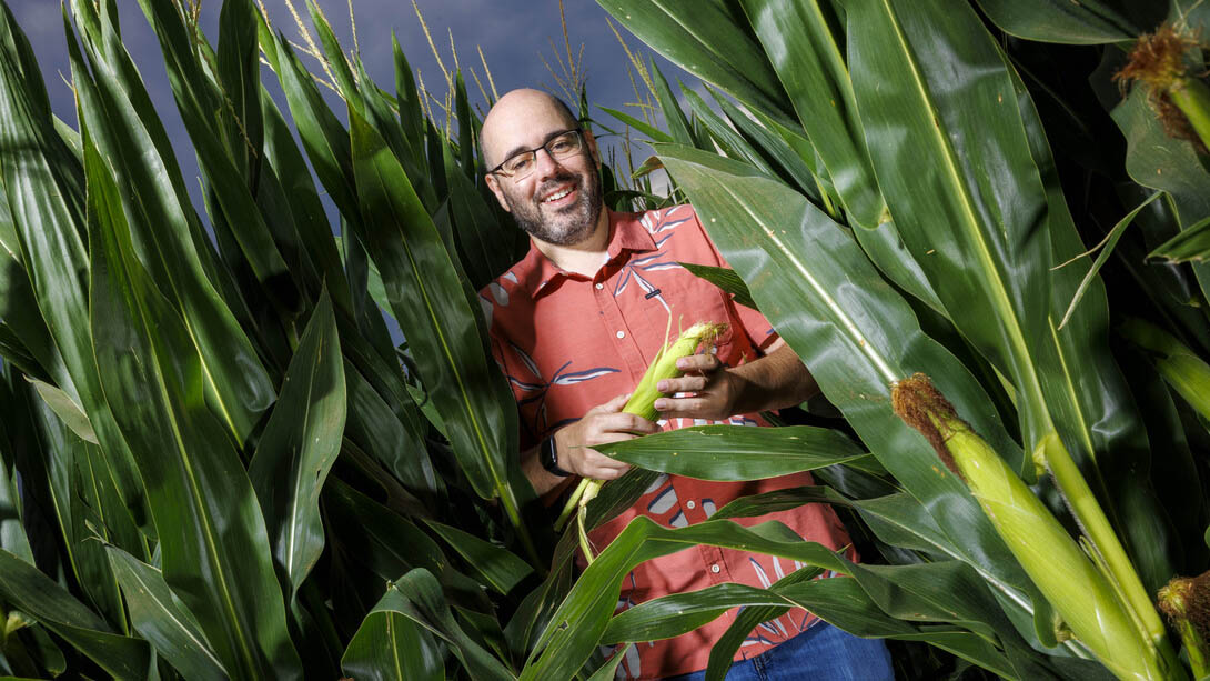 With a three-year, nearly $1 million grant from the National Science Foundation, the University of Nebraska–Lincoln’s James Schnable will help develop the first digital twin of a corn field.