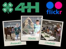 4-H Super Fair Photos on Flickr