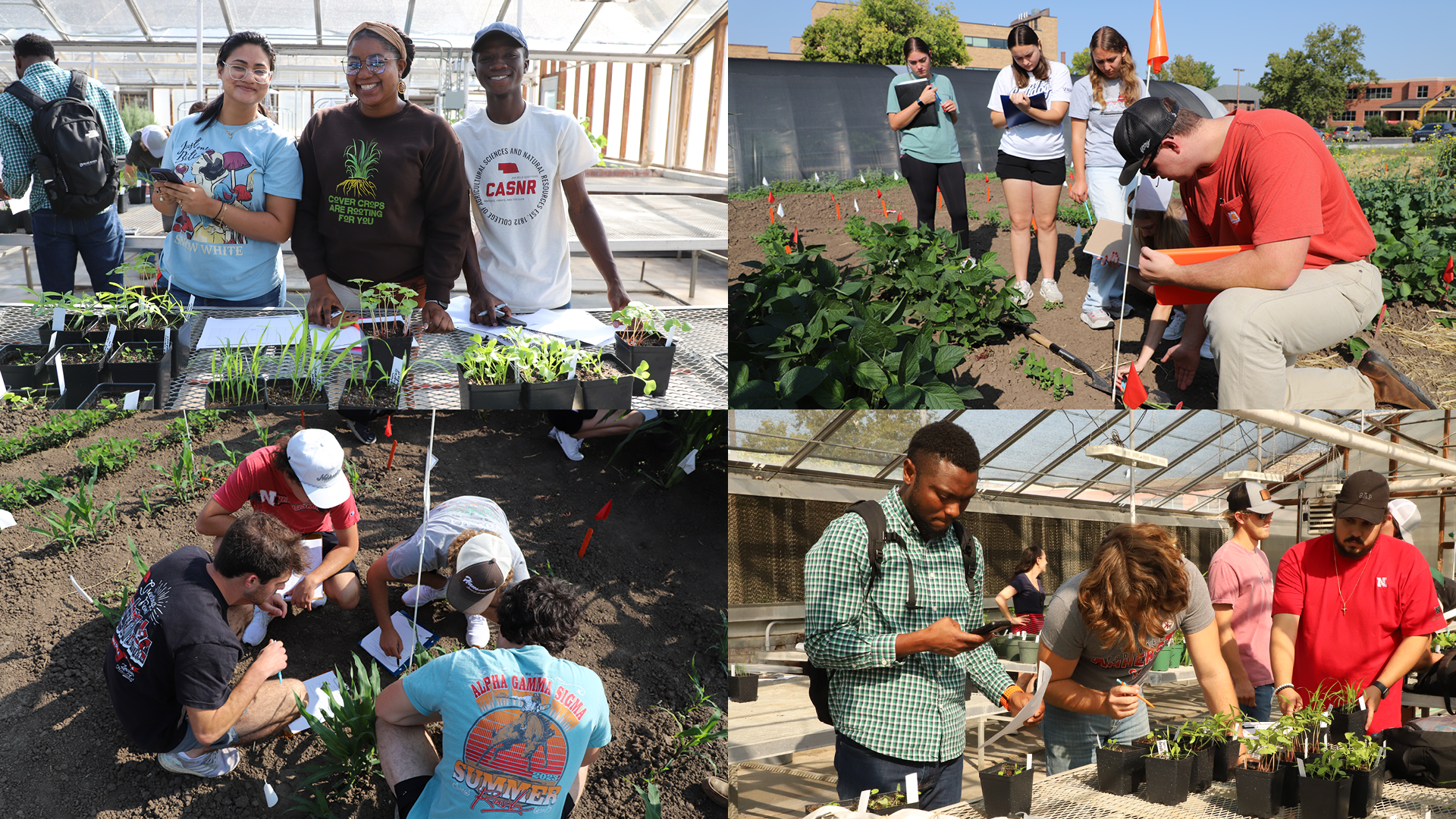 Husker students get hands-on learning in PLAS 425/AGRO 825 Cover Crops in Agrosystems and a PLAS 132 Plant Science Lab.