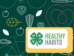 4-H Healthy Habits