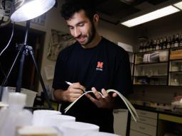 Abdallah Abdallah, who participated in the First Year Research Experience Program in 2023, documents a spider’s activity while working in Eileen Hebets’ lab in this file photo.  Photo by Craig Chandler