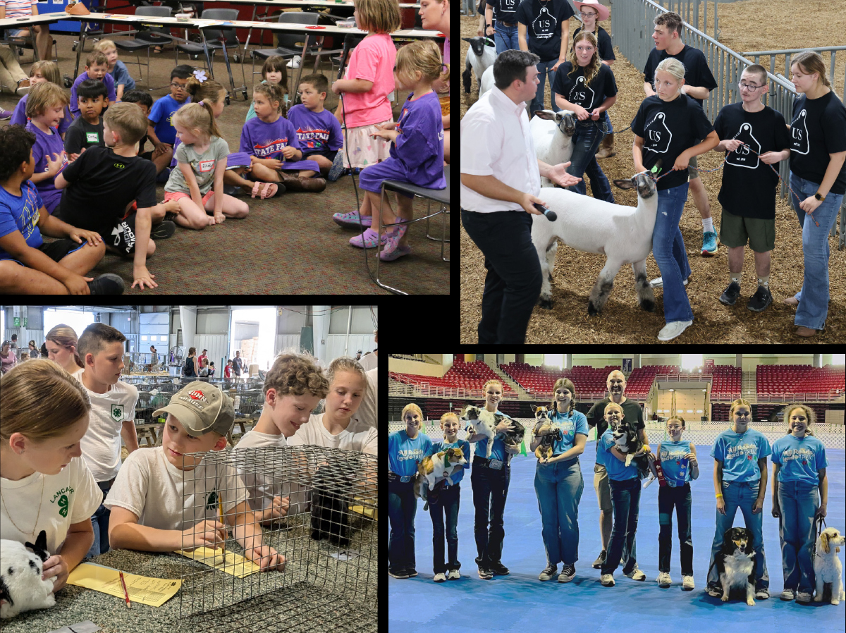 4-H specialty clubs include (clockwise from top left): Clover Kids Club, Unified Showing, 4 on the Floor, Rabbits R Us