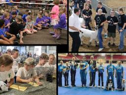 4-H specialty clubs include (clockwise from top left): Clover Kids Club, Unified Showing, 4 on the Floor, Rabbits R US