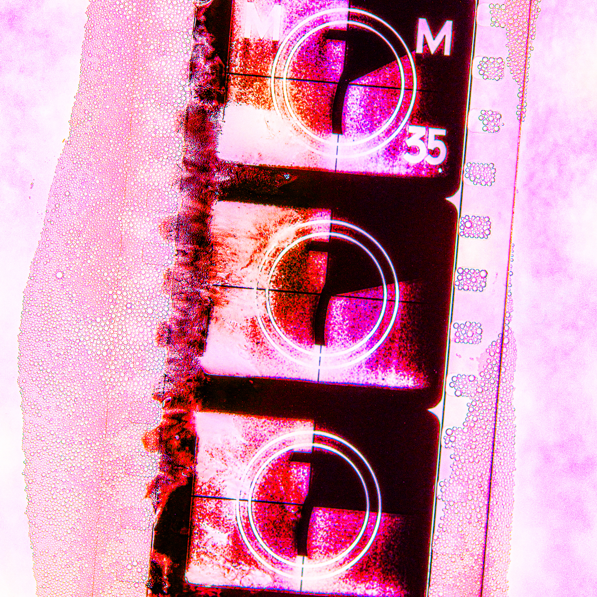 Holly Willis, “Dissolving Cinema,” film still, 2023.