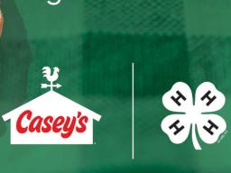 Casey's pizza graphic